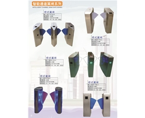 齐河智能通道翼闸系列