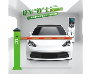 齐河RG-CW系列车位小道闸
